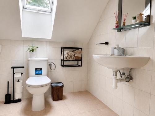 a bathroom with a toilet and a sink at Lesný Dvor Retreat in Spišské Bystré
