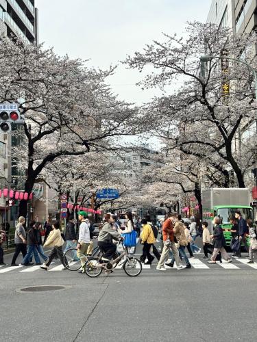 2ndHouseTokyo-HidamarinoUtataNEKO-