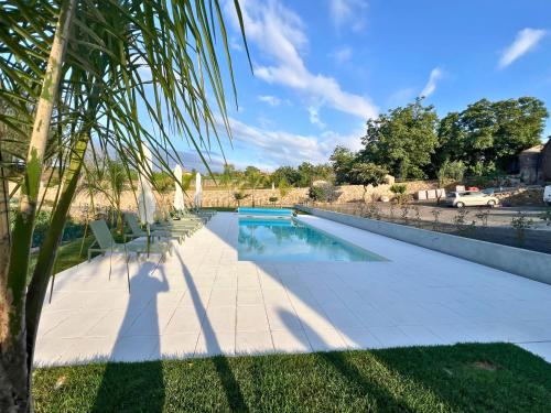 a swimming pool with chairs and a palm tree at Lourença Stays - Quinta Lourença in Vilar