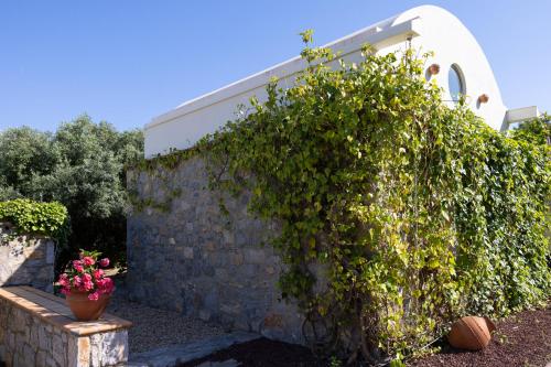 a stone wall with a bush next to a building at Odette Pansiyon Bodrum in Bodrum City