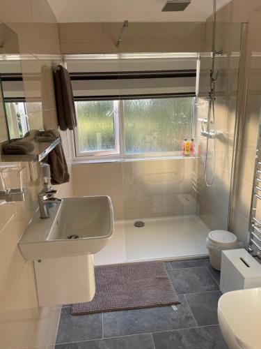 a bathroom with a shower and a sink and a toilet at The Croft in Sandhurst