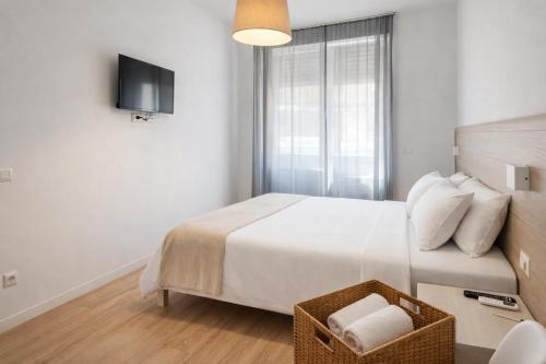 Vatican Luxury 2BR Apartment, Near San Pietro