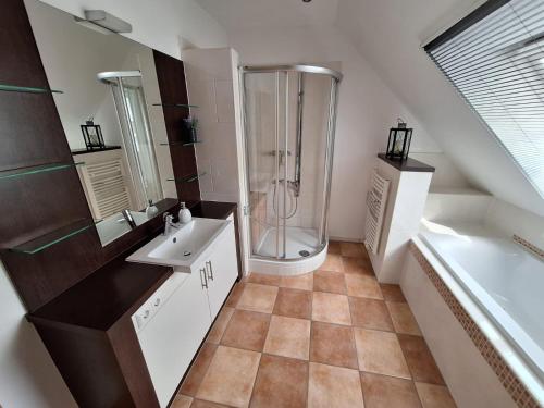 a bathroom with a shower and a sink at Ferienwohnung Alte Schule in Lonnerbecke