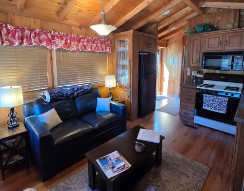 a living room with a couch and a stove at The Couple's Cabin in Wynola 2 NIGHT MINIMUM in Julian
