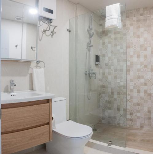 a bathroom with a shower and a toilet and a sink at Colonial studio with 2 Beds - Patio Español in Santo Domingo