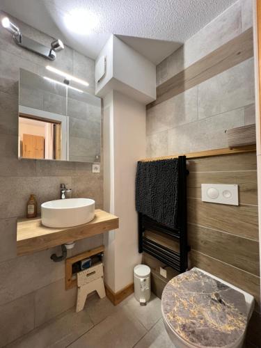 a bathroom with a sink and a toilet at Chaleureux appartement moderne in Briançon