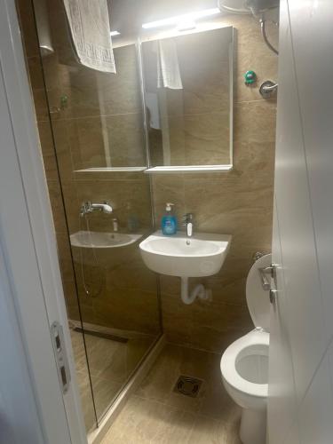 a bathroom with a shower and a sink and a toilet at UROS apartments in Boreti