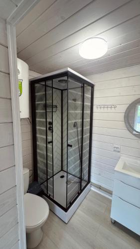 a bathroom with a toilet and a glass shower at Runa House in Verkhovyna