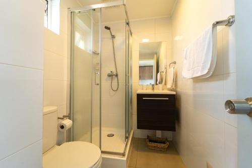 a bathroom with a shower and a toilet and a sink at Studios y Departamentos Nómades del Lago in Puerto Varas