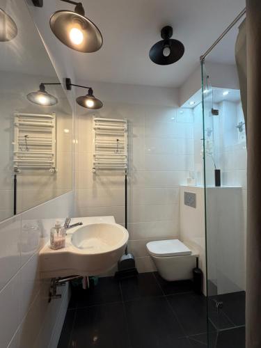 a bathroom with a sink and a toilet and a shower at Viking in Dziwnów