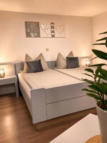 a bedroom with two beds and a potted plant at MiTi Sleep and Go in Bernkastel-Kues