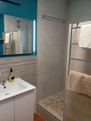 a bathroom with a sink and a shower with a mirror at coconut beach citerne marisol in Le Gosier
