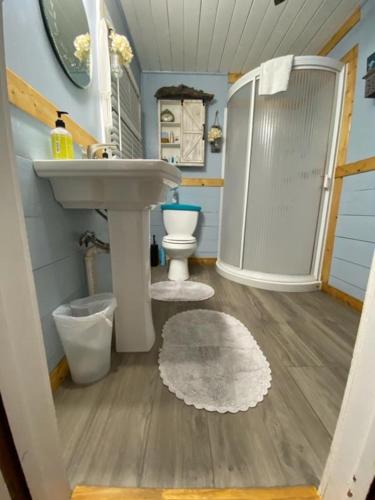a bathroom with a sink and a toilet and a shower at Come Friday Cottages in Bacliff