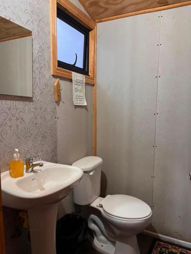 a bathroom with a toilet and a sink and a window at Cabaña Donde la Bety in Villa Santa Lucía