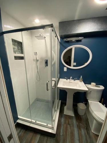 a bathroom with a shower and a sink and a toilet at Matt Cozy Quarters in Orangeburg