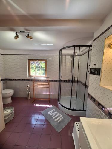 a bathroom with a shower and a toilet at Przystanek Kaszuby in Kamień