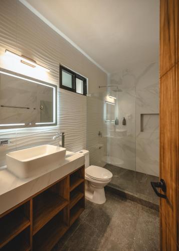 a bathroom with a sink and a toilet and a shower at Suite Premium con piscina privada en Valladolid - Penca Leonor 12 in Valladolid