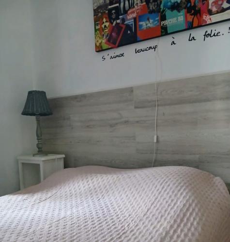 Happydays Cannes spacieux duplex photo 5