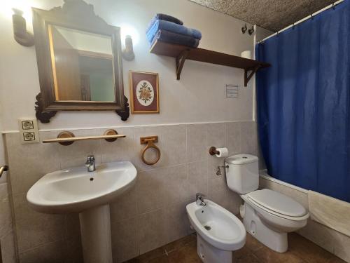 a bathroom with a sink and a toilet and a mirror at Can Micos - Masía de grupos 16 hasta 25 personas in Riudarenes
