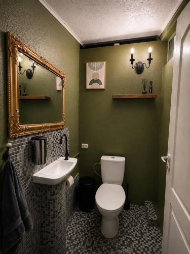 a bathroom with a toilet and a sink and a mirror at Baltic Beach Charm Tiny House C in Pērkone