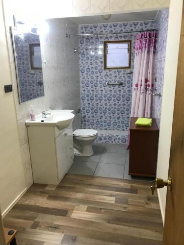 a bathroom with a sink and a toilet and a shower at Cabañas Captren Andino in Curacautín