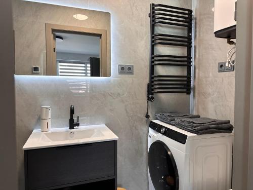 a bathroom with a washing machine and a sink at Cozy Spark Studio Apartment in Kelmė