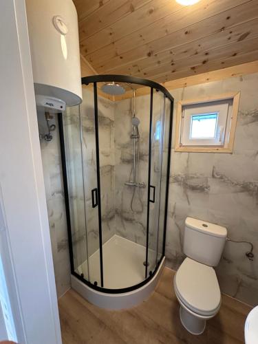 a bathroom with a shower and a toilet in a room at Baltic Holidays in Gąski