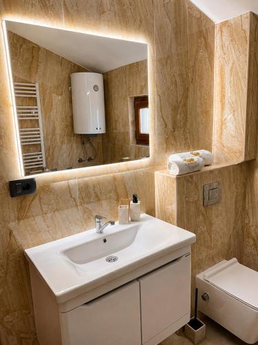 a bathroom with a sink and a mirror and a toilet at Grahovo Mountain Chalet in Grahovo