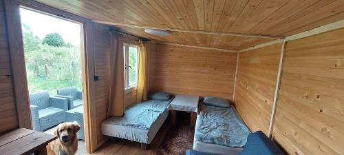 a dog is standing in the inside of a cabin at Domek GLAMPING na Polu namiotowym RADOŚĆ in Okuninka