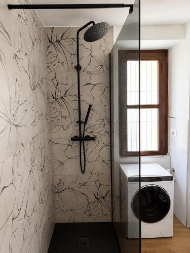 a bathroom with a shower and a washer and dryer at Ca' Santa Maria in Santa Maria Maggiore
