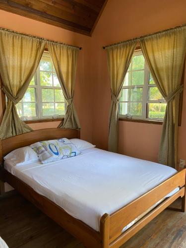 a bed in a room with two windows at The Village Inn in Placencia