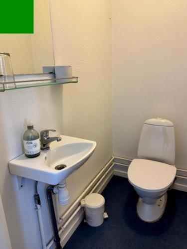 a bathroom with a white toilet and a sink at Kammak Hostel Sisimiut in Sisimiut