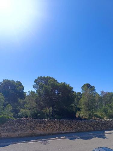 a stone wall and trees with a blue sky at Son Veri LUXURy HOME in Cala Blava