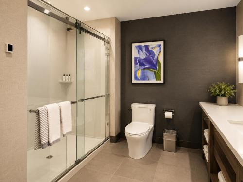 a bathroom with a toilet and a glass shower at Cambria Hotel Pigeon Forge in Pigeon Forge