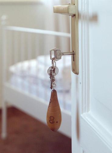 a door latch with a vase hanging from it at Huber Vendégszobák in Fertőrákos