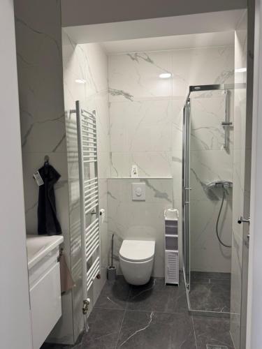 ein Badezimmer mit Toilette und Glasdusche in der Unterkunft Petica in Brčko