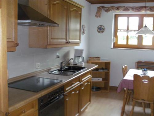 a kitchen with a sink and a stove at Ferienwohnungen Malz in Blaibach