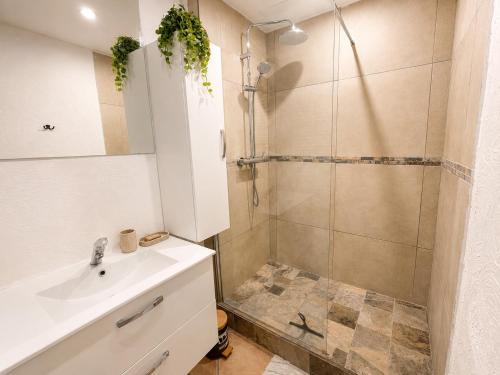 Grand appartement T4 climatisé et lumineux