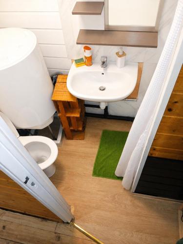 a bathroom with a toilet and a sink at l'HYPERCENTRE Loft Atypique et Historique 5 PERS Cathédrale in Clermont-Ferrand