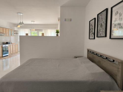 a bedroom with a large bed in a room at Costelia Studio in Ialysos