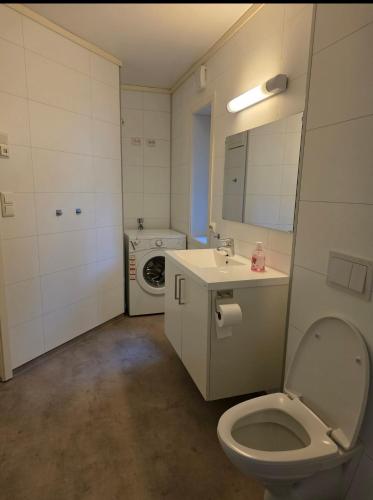a bathroom with a toilet and a sink and a washing machine at Leilighet ved vannet in Konsmo