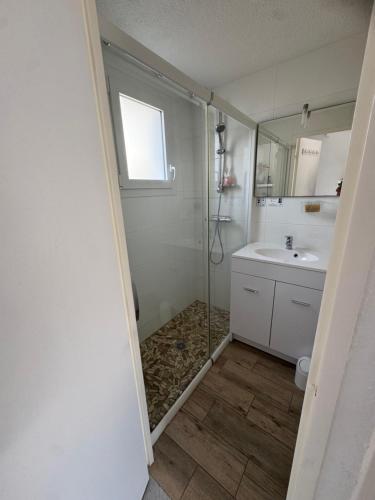 a bathroom with a shower and a sink at Mamounette in Sarzeau