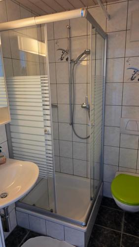 a bathroom with a shower and a toilet and a sink at Ferien auf dem Weingut in Ligerz