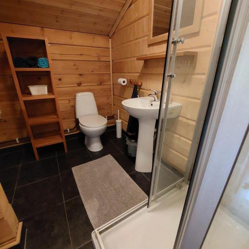 a small bathroom with a toilet and a sink at Villa Bearcorner in Härbyste