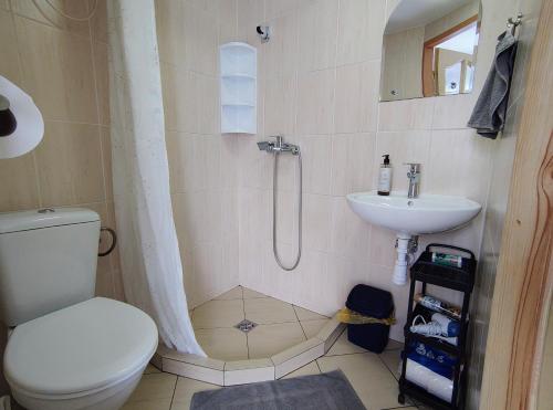a bathroom with a shower and a toilet and a sink at Domek dla dwojga w Stegnie in Stegna
