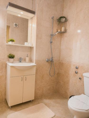 a bathroom with a toilet and a sink and a shower at ApartmentDanny in Hisarya