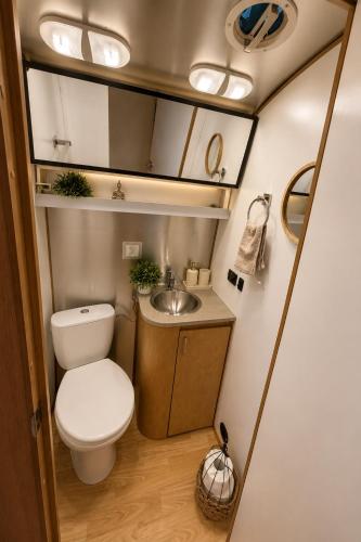 a small bathroom with a toilet and a sink at Bieszczadzki Airstream in Wetlina