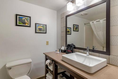a bathroom with a sink and a toilet and a mirror at Comfort Inn & Suites Cartersville - Emerson Lake Point in Cartersville