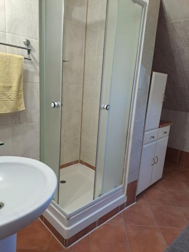 a shower with a glass door in a bathroom at Pension Casa Maria in Sovata