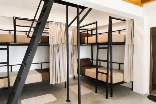 a bunk bed room with four bunk beds at Cloud Trails Hostel Ella in Ella